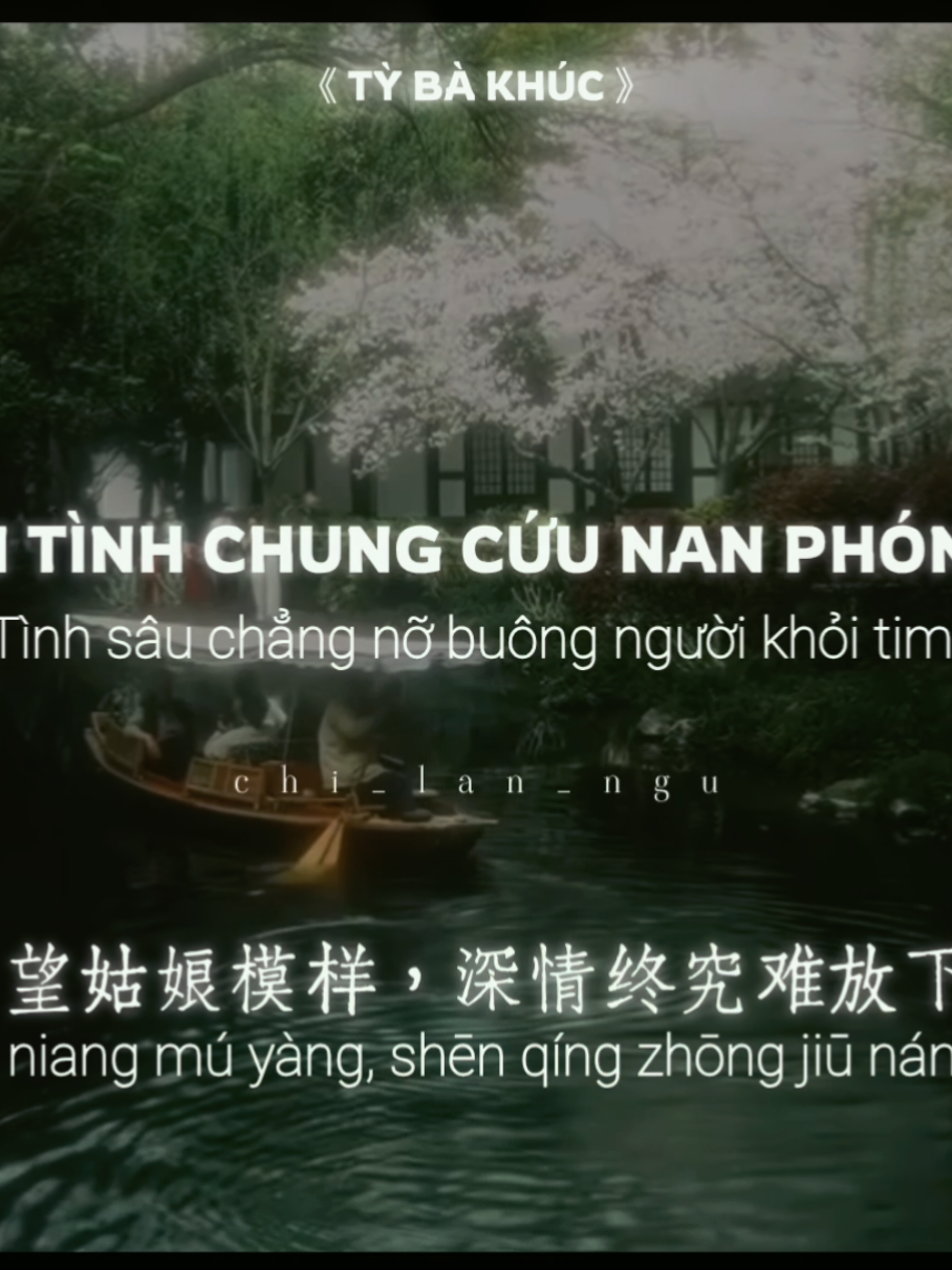 ❝ Ngắm nàng dáng ấy xa xôi Tình sâu chẳng nỡ buông người khỏi tim. |《琵琶曲》• Tỳ Bà Khúc #tybakhuc #nhactrung #nhactrungquoc #琵琶曲 