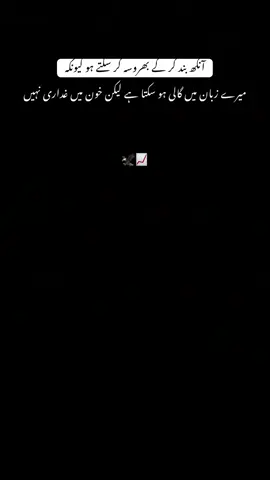 📈🦅انکھ بند کر کے بھروسہ کر سکتے ہو کیونکہ  میرے زبان میں گالی ہو سکتا ہے لیکن خون میں غداری نہیں#poetryvideo #attitude #foryou 
