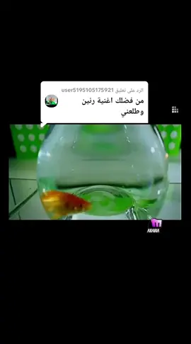 الرد على @user5195105175921 #ترندات_تيك_توك #فنانين_العرب #اغاني_عراقيه #مشاهير_تيك_توك #ترند 