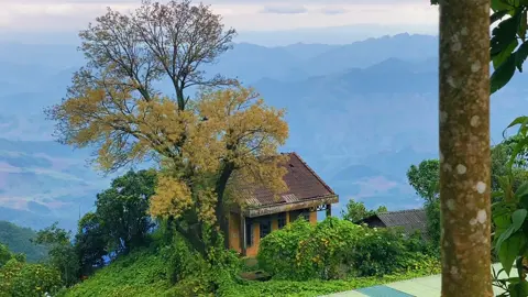 đẹp như trong tranh lunn