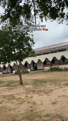 Hoygii aqonta shiiq xanafi primery and secondry school jowhar somalai 🇸🇴💙🎥📸#somalitiktok12 #foryoupage #ciylaalxamar🇸🇴 @Ali Gudlawe Hussein @Mohamed Khadar Abdiqafar🇸🇴 @Yuslim mohamed @Mohamed Shurie Nur 