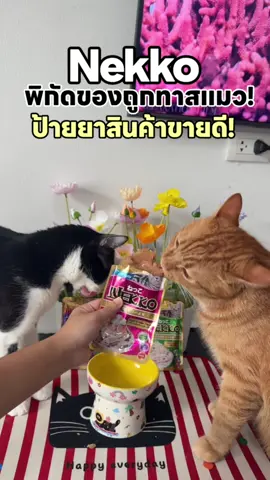 ⏰ เวลาถอยหลังแล้ว! ลดเดือดจัดเต็ม Nekko อาหารเปียกสุดอร่อย ช้าหมดอดโปรนะ! #เน็กโกะ #อาหารแมวราคาถูก #FlashSale