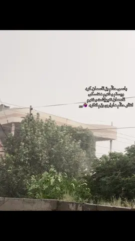 هەنسکی ئاسمان ؟ 🤷🏽‍♀️💔🥰 #foryou #actives? #fypシ #tiktok #ئەکتیڤبن🥀🖤ـہہـ٨ــہ 