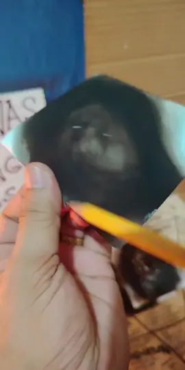 #tiktoklive #livehighlights