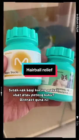 Dia punya sedap sampai kucing mintak lagi. 