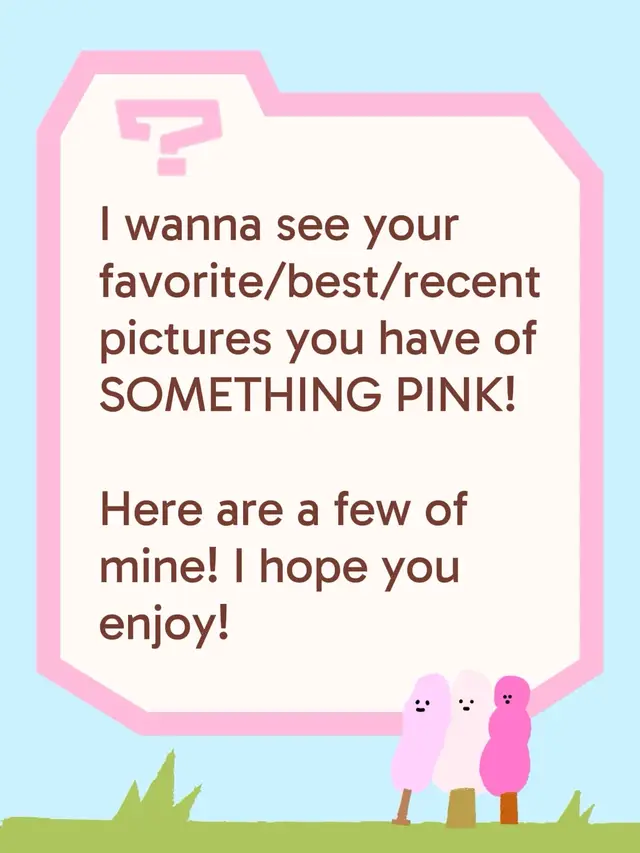 I want to see your best of the best. Either your favorite photo that you've taken or your best photo that you've taken of SOMETHING PINK! Here are a couple of my favorites that I've taken! Share as many as you want below I love seeing everybody's incredible work! I hope y'all all have an amazing day, I hope y'all enjoy my photos, and look out for more soon! #photo #photography #art #amateurphotographer #pink 