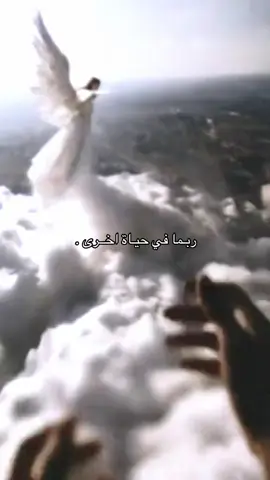 اذا لم تجمعنا الأرض يوما ففي السماء لقاء🤍