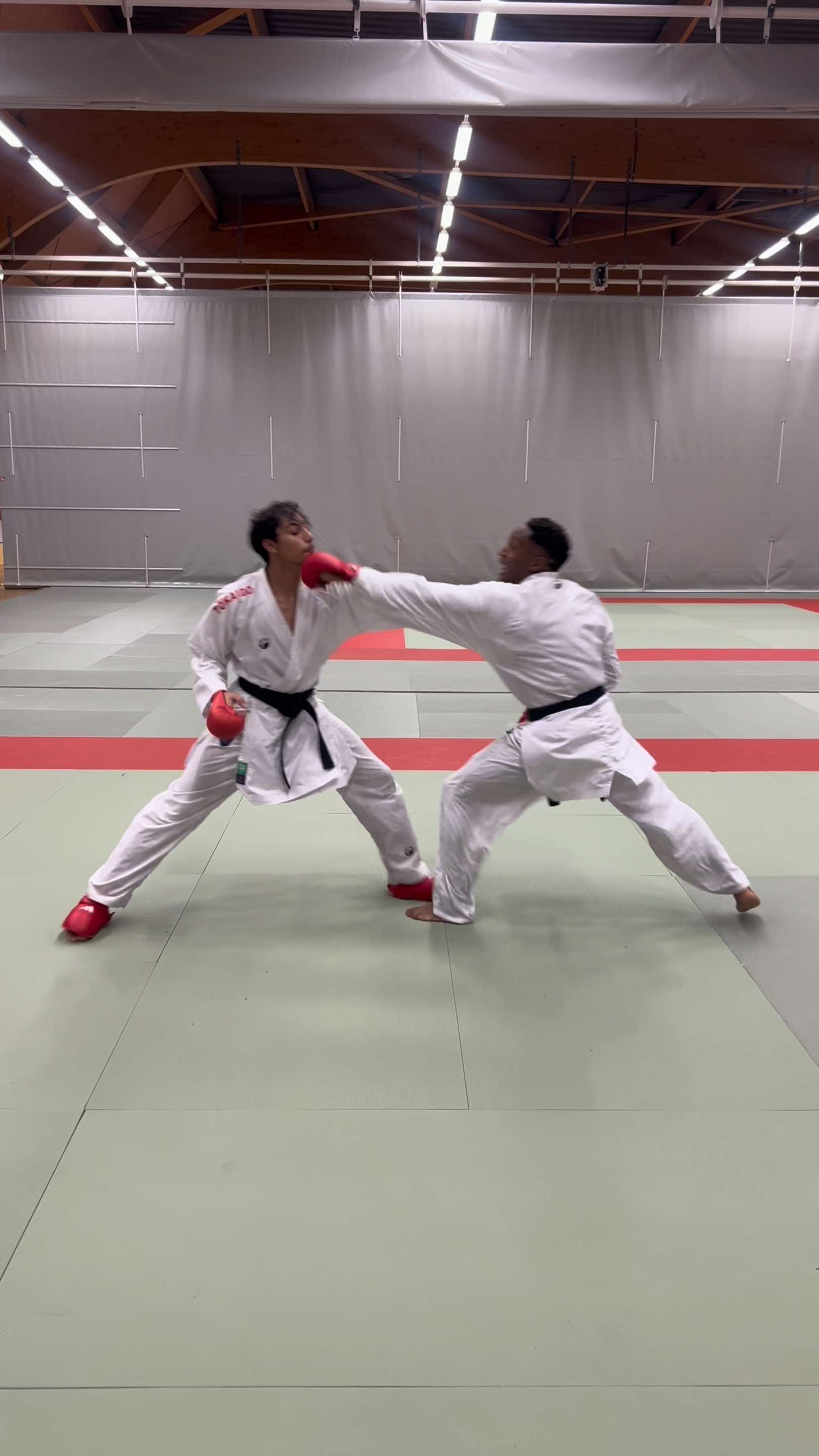 #karate #pourtoi #martialarts #wkf #kumite 