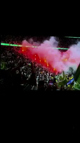 اخيراً فرحنننننااااااااا 💚💚💚💚💚💚😭😭😭😭😭😭😭😭😭😭😭😭😭😭😭😭😭😭 #المنتخب_السعودي #اكسبلورexplore #السعودية🇸🇦 