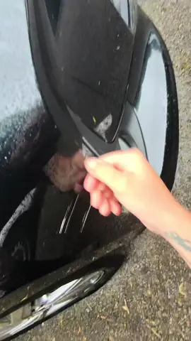 Keep up with this bumper 🤌🏻💦🔥🙌