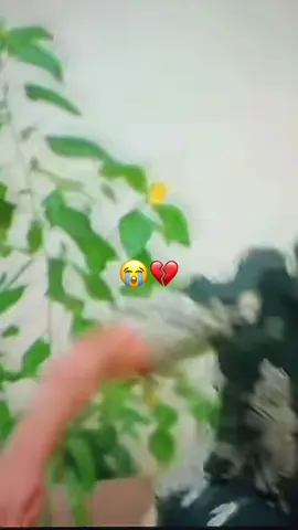 😭💔 