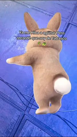 #CapCut 