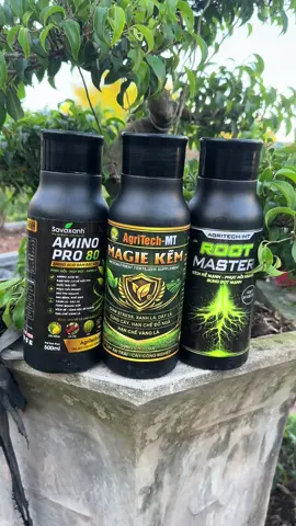 [Agritech-MT] Combo 3 chai phân bón magie kẽm + aminopro+ rootmaster #xanhladayla #kichre #phuchoicay #xuhuong  @Cửa hàng nông nghiệp 