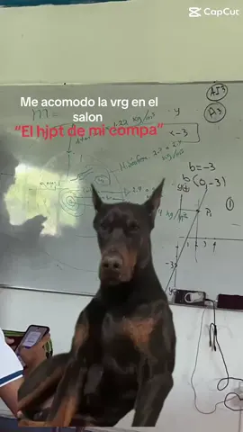 #humor 