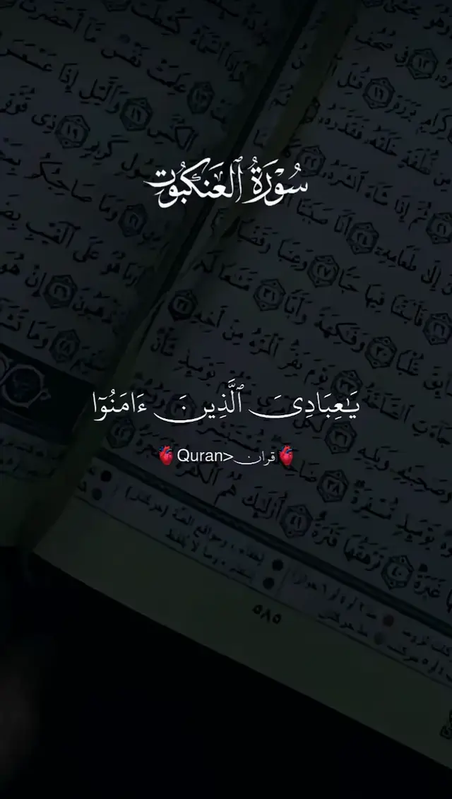 الصلاة الصحيحة هي أداء الصلوات الخمس في أوقاتها، متطهرًا، مستقبلًا القبلة، مع استحضار النية والخشوع. تبدأ بتكبيرة الإحرام، وقراءة الفاتحة وسورة، ثم الركوع والسجود بطمأنينة، والجلوس للتشهدين (في الثلاثية والرباعية) أو واحد (في الفجر)، والختام بالتسليم، متبعًا فيها هدي النبي ﷺ [
