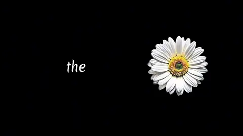the boy is mine                #theboyismine #monica #lyrics #song #fyp 