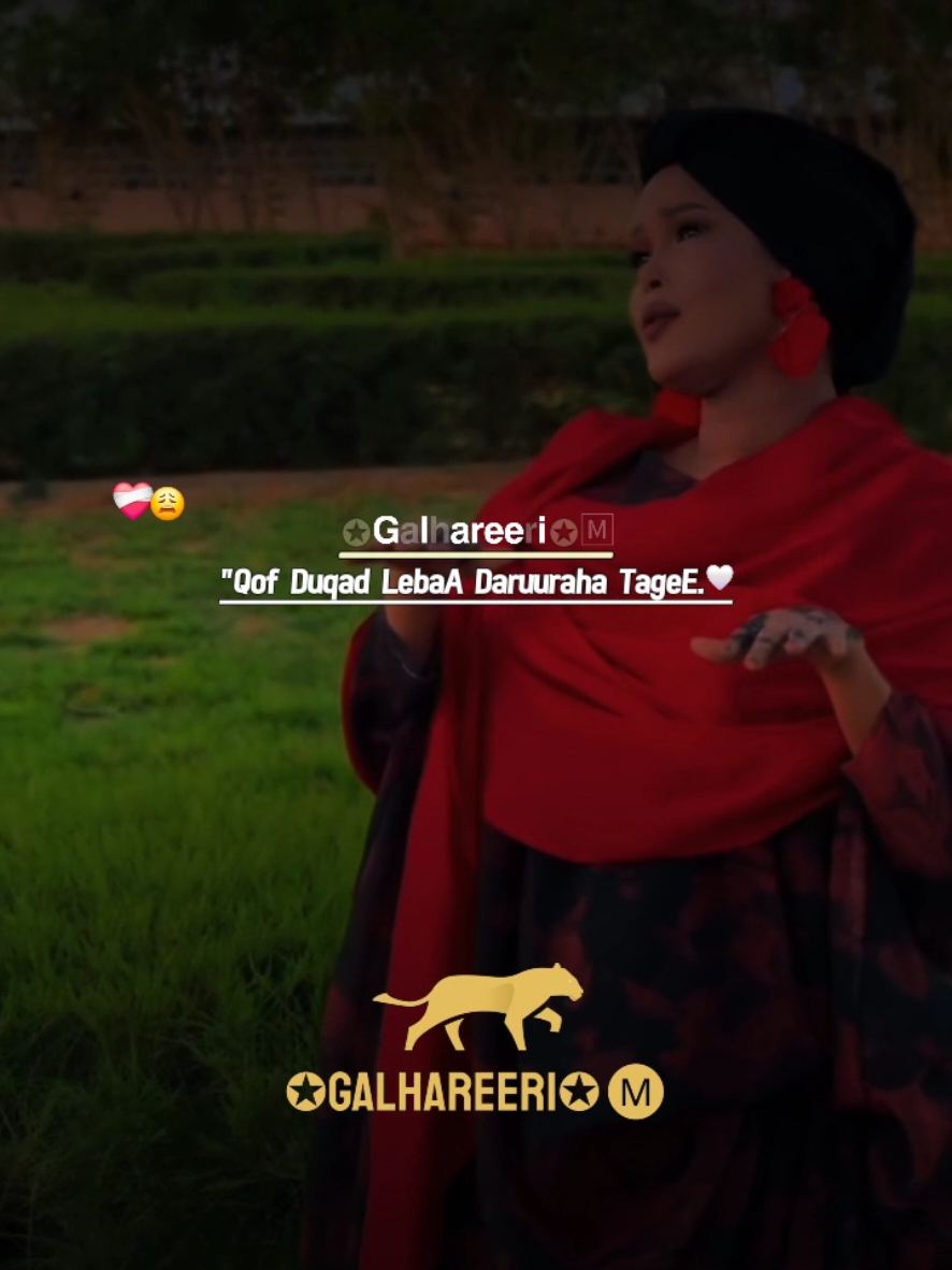 Doqon Weerahed Ima Dudsiyo Dahab Ban Ahiyo Wagu Dalaysan #xaliimosacdiyo #Galhareeri  #somalitiktok #somaligirls  #videoviralitiktok New song  Inta iidudoy Wa Dalaysaan  New song By Haliimo Sacdiyo 