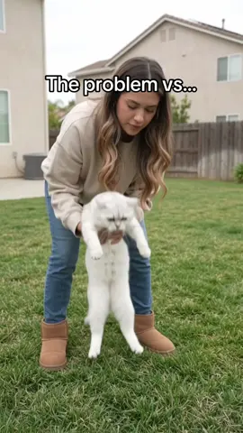 Send this to someone who needs this…🤩 #petmoms #catmom #cat #catlovers 