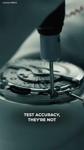 How watches are tested for accuracy #watchesoftikok #watches #menswatches 