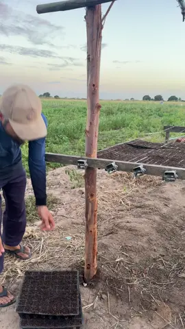 Começa aqui 75 dias de terapia gratuita 😅 Se tiver precisando só dizer 👀 Segue💚 #trabalho #meme #agricultura #plantio 