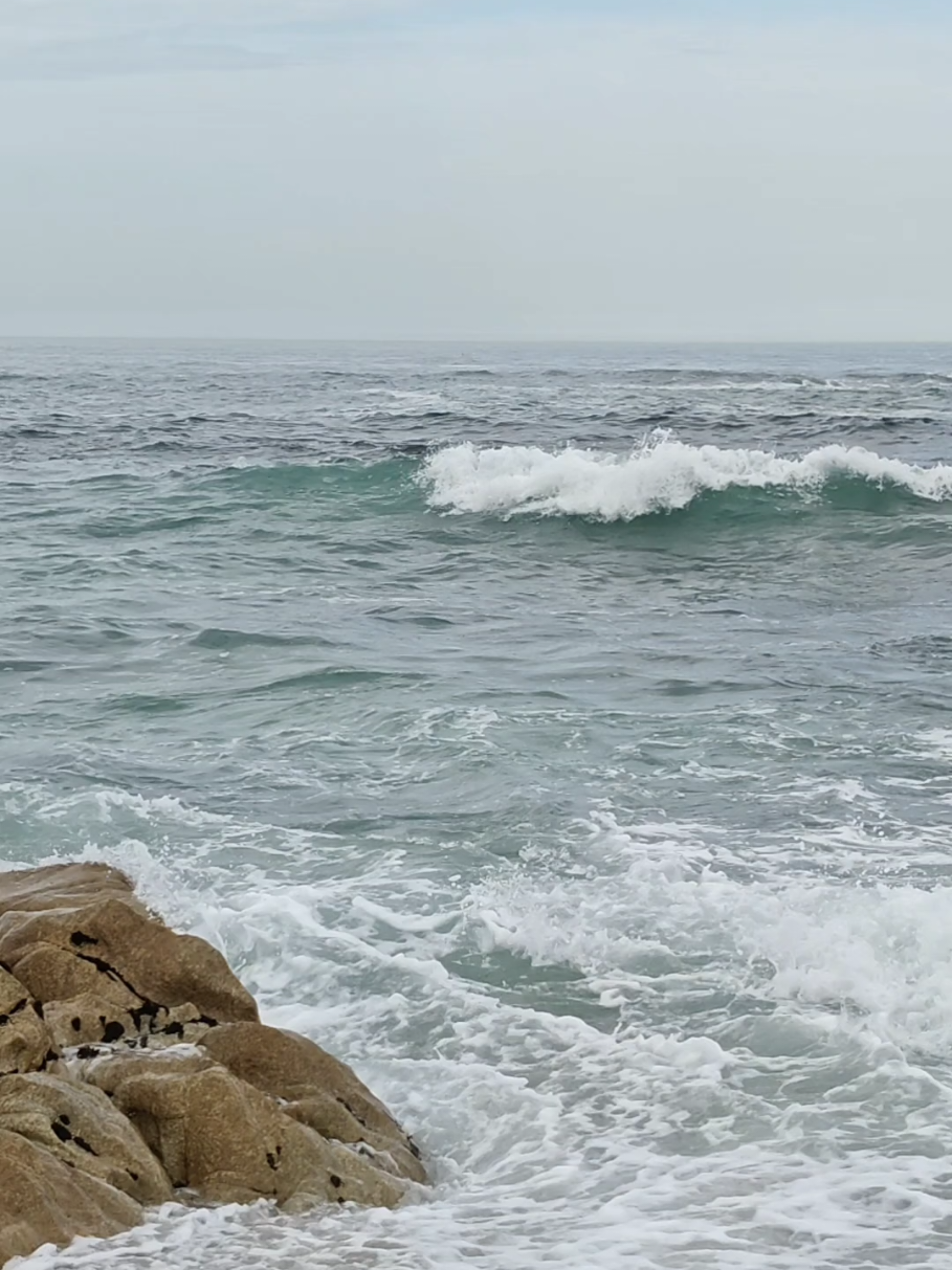 #beautifulbeach #searelax🌊 #wavesound #soundbeach #naturelovers 