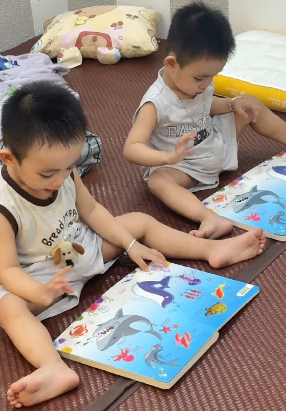 Sách bền mà chủ đề hình ảnh các bé thích lắm lun 