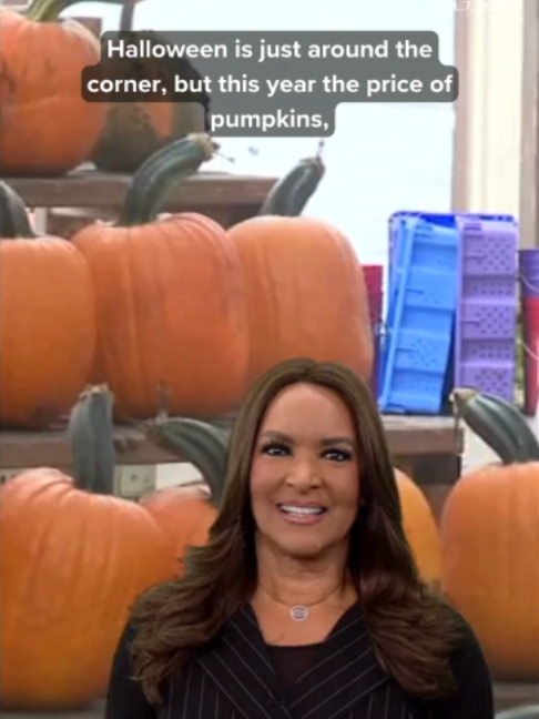 Do you have your pumpkin yet for #Halloween? Finding one may not be a challenge, but the cost may be what scares you. Illinois is the largest pumpkin producer in the country. A lot of factors on the different prices this year. In central Kansas, farmers reported the worst pumpkin crop in a decade, because of extreme heat. Outside Green Bay, Wisconsin, weather cooperated enough to provide for an average crop. In Illinois, the farm bureau says southern Illinois saw an abundance of production, but If pumpkins need to be trucked in, high diesel prices could drive up the cost. #news #chicagonews