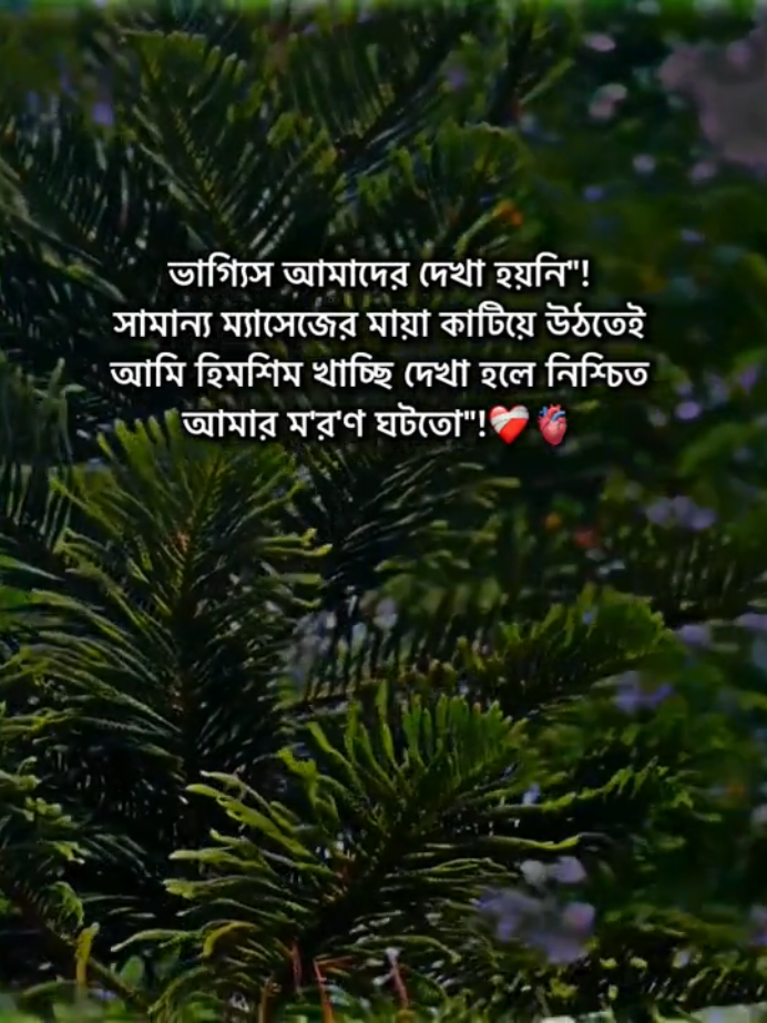ভাগ্যিস আমাদের দেখা হয়নি