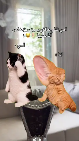 #Meme #MemeCut 