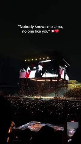 You call, I run 📞🇵🇪 #bts #btsperu #btslimaconcert #btsarmy 