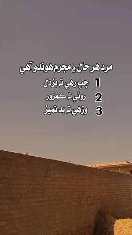 مرد هر حال ۾ مجرم هوندو آهر 1چپ رهي ته بزدل 2 روئي ته ڪمزور 3 وڙهي ته بد تميز#1millionviews #unfreezemyacount🙏 #foryoupage❤️❤️ #CityTasteTest #creatorsearchinsights #pleaseviralthisvideo🙏🙏please 