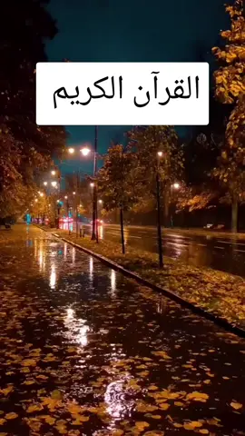 #القران_الكريم 