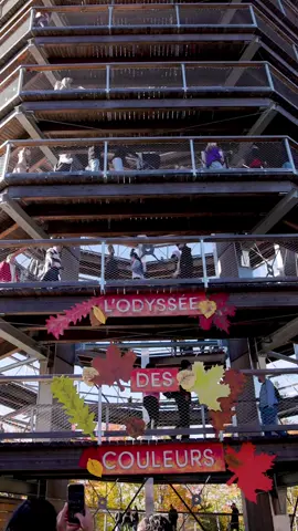 🍁 Longue fin de semaine de l'Action de grâce : les couleurs sont encore au rendez-vous… et les lève-tôt sont récompensés! Au programme : la vue à 360° sur les couleurs au sommet de la tour panoramique, de la musique sur la terrasse, des feux de foyer et des jeux géants. Le moment idéal pour prendre de la hauteur en famille ou entre amis! 🎶🍂 Samedi, dimanche et lundi (10, 11 et 12 octobre), présentez-vous à l'accueil avant 9h30 et recevez, par personne : 🛝 1 descente gratuite dans la Glissade des cimes (selon la météo) 🔵 1 bille pour les parcours de billes Valable même si votre billet est réservé pour plus tard dans la journée! 🎟️ Réservation en ligne requise samedi, dimanche ET lundi de l’Action de grâce. Planifiez votre sortie — lien en bio. 🎥 Quelques-uns des beaux moments captés ces derniers jours par Daniel Desmarais ----- 🍁 Thanksgiving long weekend: The fall colors are still here… and early birds get rewarded! On the agenda: spectacular 360° views of the fall colors from the top of the observation tower, live music on the terrace, outdoor fireplaces, and giant games. The perfect time to head up high with family or friends! 🎶🍂 Saturday, Sunday, and Monday (October 10, 11 & 12), check in at the entrance before 9:30 a.m. and receive, per person: 🛝 1 free ride down the Treetop Slide (weather permitting) 🔵 1 marble for the marble runs The offer is valid even if your ticket is booked for later in the day! 🎟️ Online reservations are required Saturday, Sunday AND Thanksgiving Monday. Plan your visit — link in bio. 🎥 A few beautiful moments captured over the past few days by Daniel Desmarais. #odysséedescouleurs #earlybirds #fallcolors #automne2026 #laurentides