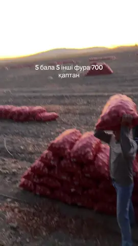#тараз #рек