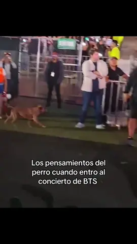 #bts #bangtan #btsperu #btsenperu #fyp 