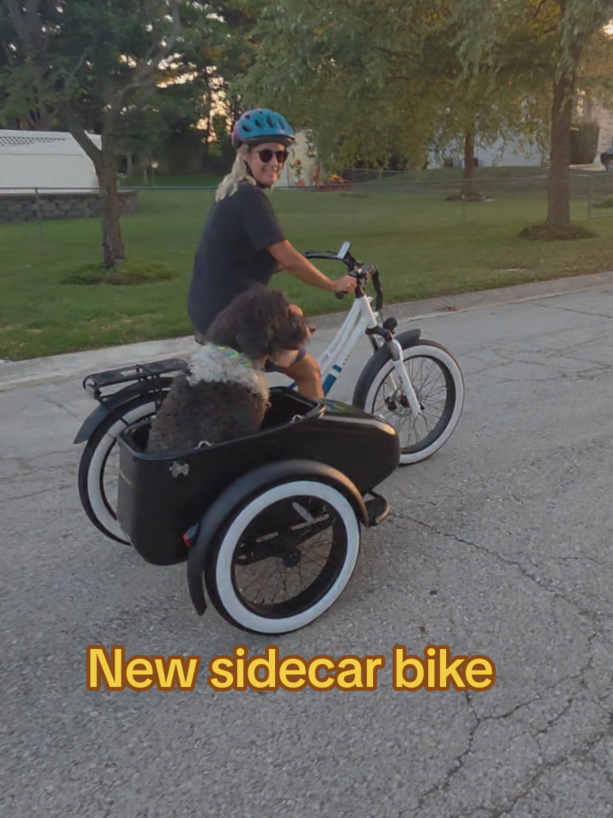 Macy is loving her new ModBike with the sidecar. This was her first ride. @MOD BIKES  #cooldog #labradoodle  #spoileddog #dogsoftiktok #doglife 