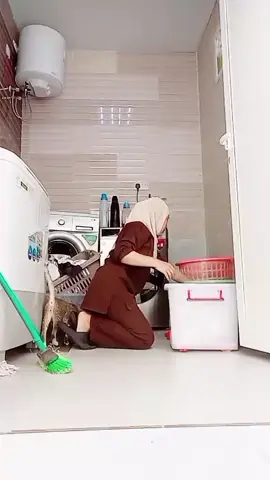 ceritaku hari ini