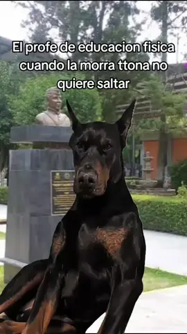 #MemeJAJAJAJ #MemeCut #CapCut #paratiiiiiiiiiiiiiiiiiiiiiiiiiiiiiii #xzbcya 