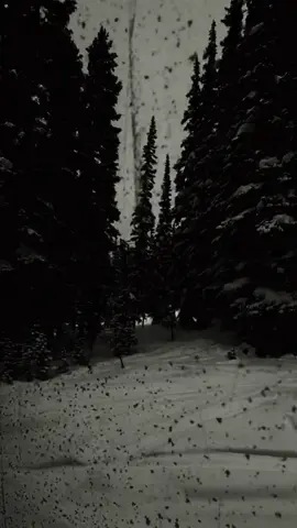 Nostalgia 