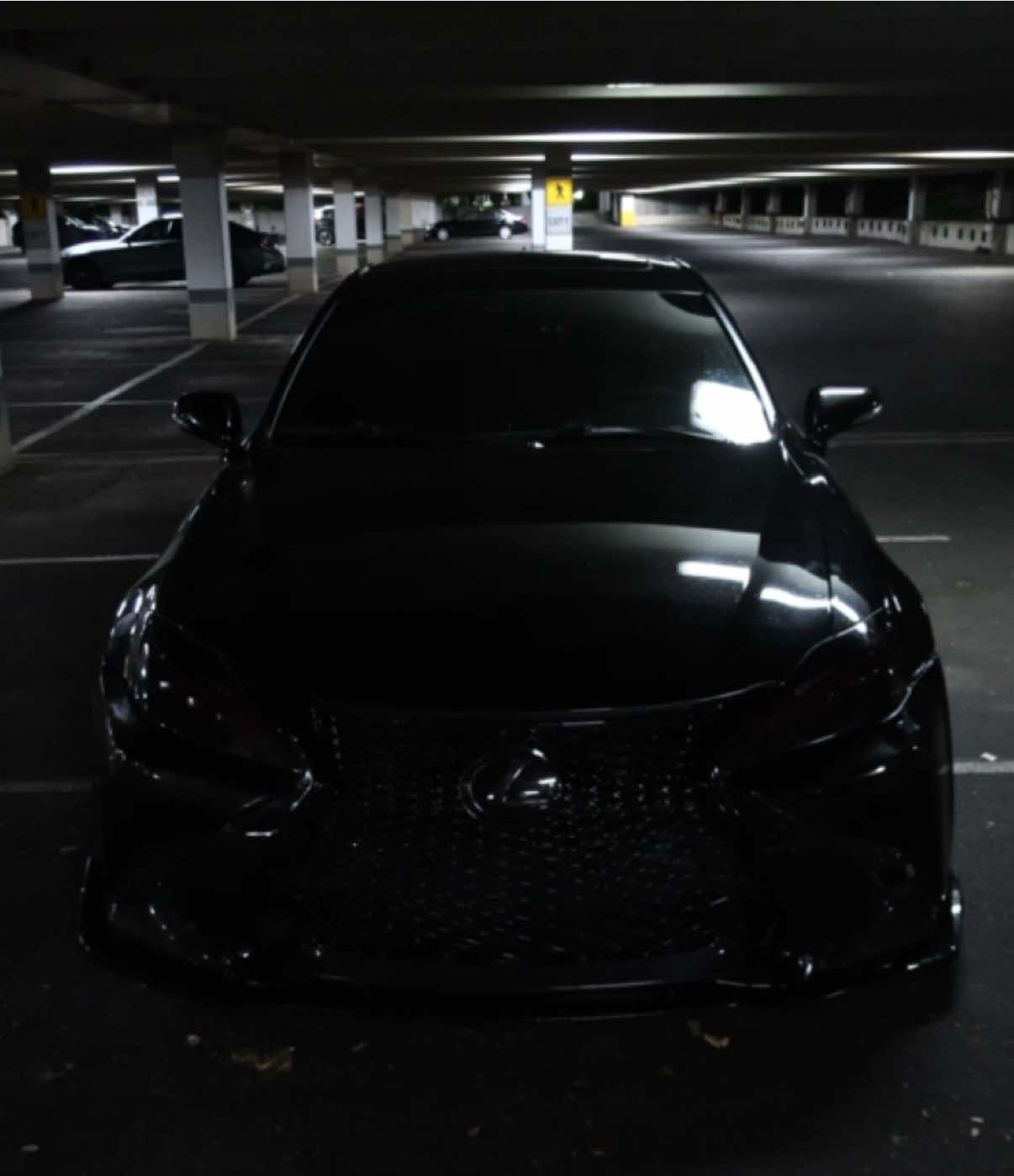 Still got my money💸 #slammed #lexusis #lexus #static #ghost2is 