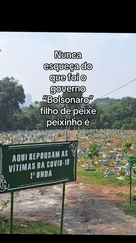 DERRUBARAM O OUTRO VÍDEO REPOSTANDO DE NOVO PRA VOCÊS 🇧🇷❤️ NÃO VOU DESISTIR #fypシ゚viral #democracia #brasil #lyrics #foryou 
