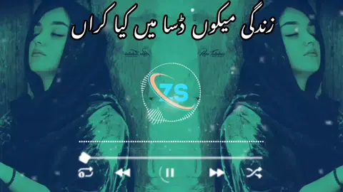 زندگی میکوں ڈسا میں کیا کراں 😥😥😢😢😥😥😰😰🤍🤍#fullsong #sarekesong #slowandreverb ##tiktokvararlsong #slowreader 