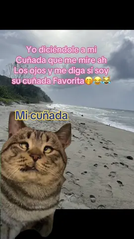 #Meme #MemeCut @Heydi Morales820 