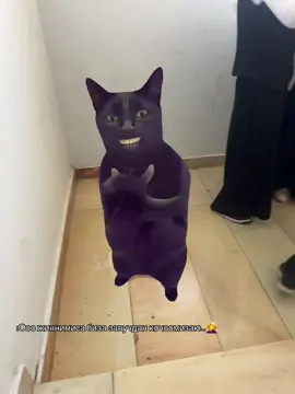 #реккк 🤣🤣