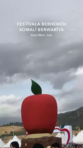 Roja 2ye zh fistavale barwariya 🍎♥️😍