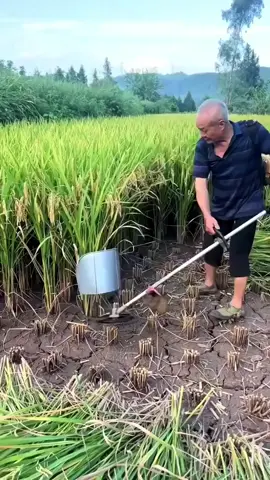 #vairalvideos_tik_tok🌿🙂🥰👇👈 