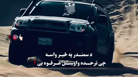 #100kfollowers #fyppppppppppppppppppppppp #viral_video #viralvideo #video 