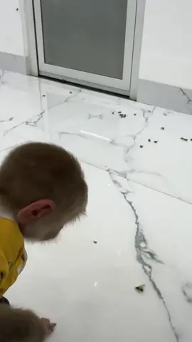 Monkey bibi latest video #cutemonkey #babymonkey  #animal #monkeysoftiktok #Foryou