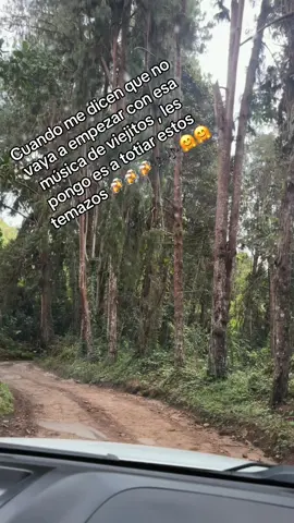 #vanailusion #luisalbertoposada #musicapopular #viajandoporcolombia 