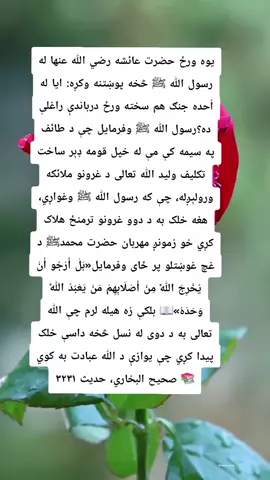 #creatorsearchinsights #mostfollowedaccountontiktok #sports_creatorsearchinsight2026and2026 #صلي_علي_النبي_محمد_صلي_الله_عليه_وسلم #viralvideo4kboast 💔 The Mercy of Prophet Muhammad ﷺ at Ta’if 😢❤️ One day, Aisha (رضي الله عنها) asked the Messenger of Allah ﷺ: “Have you ever faced a day more difficult than the Day of Uhud?” The Prophet ﷺ replied that he had suffered greatly at the hands of his people at Ta’if. Allah sent the Angel of the Mountains, who offered to crush those people between two mountains if the Prophet ﷺ wished. But our beloved Prophet Muhammad ﷺ chose mercy instead of revenge and said: «بَلْ أَرْجُو أَنْ يُخْرِجَ اللَّهُ مِنْ أَصْلَابِهِمْ مَنْ يَعْبُدُ اللَّهَ وَحْدَهُ» 📖 Translation: “Rather, I hope that Allah will bring forth from their descendants people who will worship Allah alone.” 📚 Reference: Sahih al-Bukhari, Hadith 3231 ❤️ Lesson: Even when people hurt us, we should learn to forgive, show mercy, and hope for their guidance instead of seeking revenge. 🤲 May Allah fill our hearts with mercy and make us follow the beautiful character of Prophet Muhammad ﷺ. Ameen.